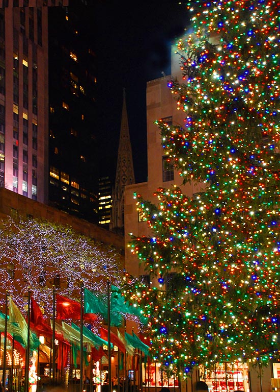 Xmas tree